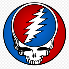 Load image into Gallery viewer, 13-Point Lightning Bolt Earrings, Dead Head Bolts