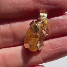 Load and play video in Gallery viewer, Seed Pendant: Citrine with Bronze Setting [0004]
