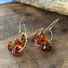 Load image into Gallery viewer, Earrings: Glass half full style in gold fill wire with amber and carnelian beads
